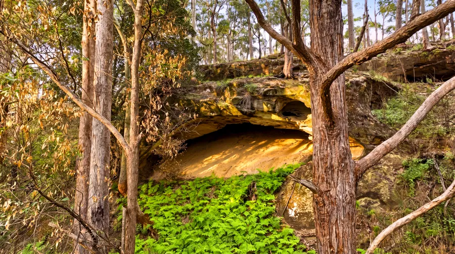 Natural sandstone formations in native woodland