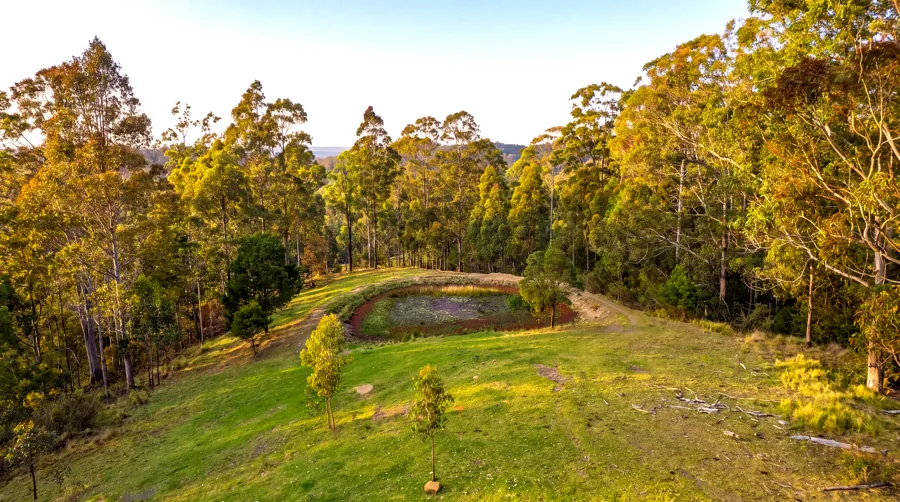 A tree-lined dam on the property