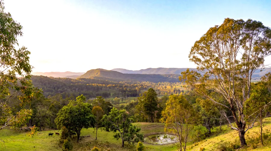 Late afternoon light across the valley