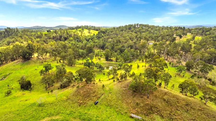 Open paddocks dotted with established trees