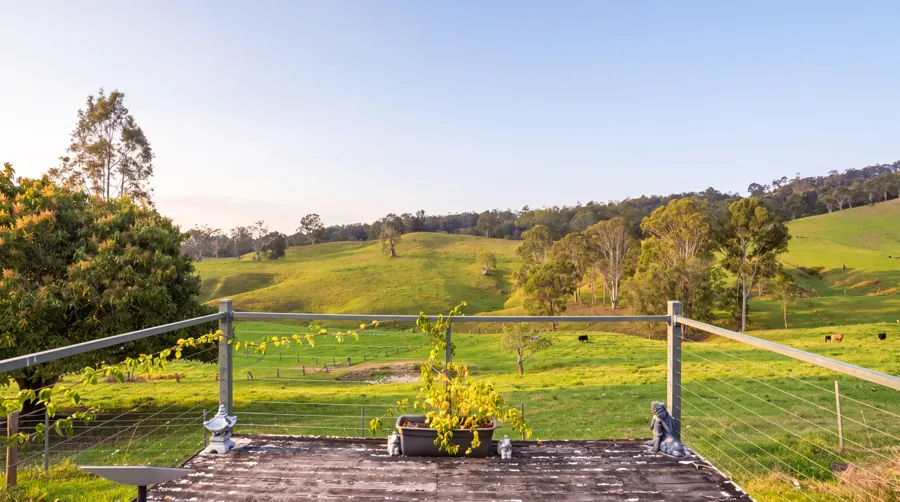 Green paddocks seen from the front steps
