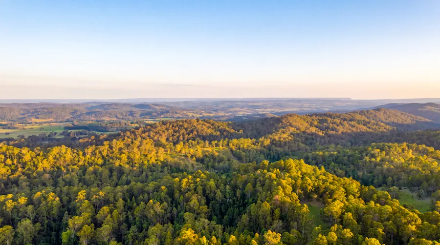 Tree-covered ridges stretching into the distance