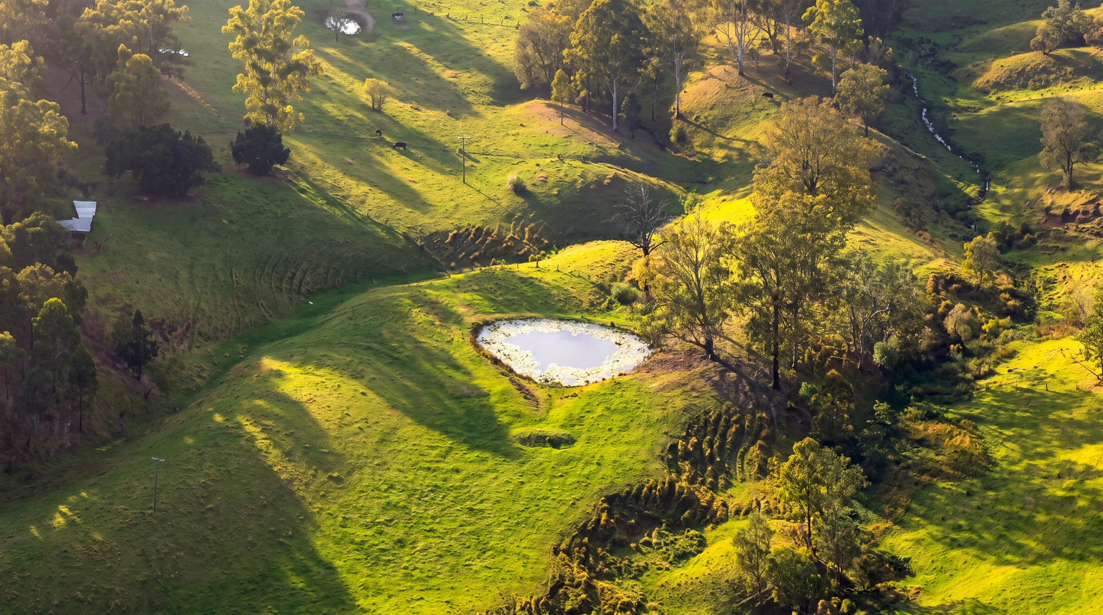 A dam surrounded by rolling grassy hills
